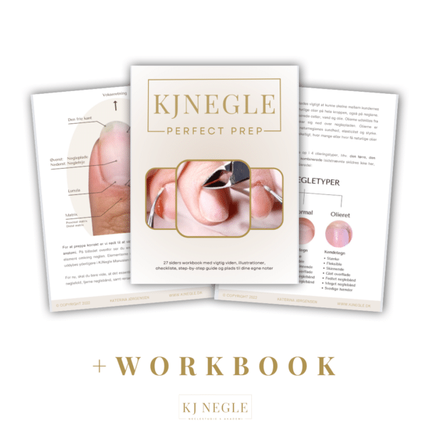 Perfect Prep - online - Image 2