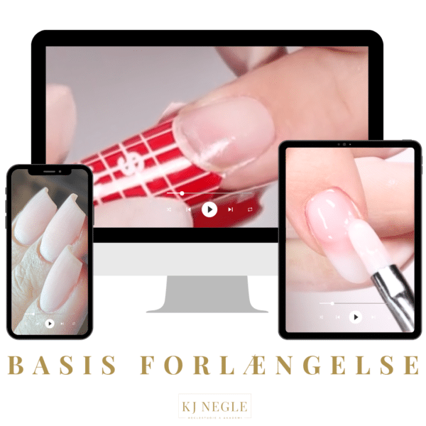 Basis Forlængelse - online